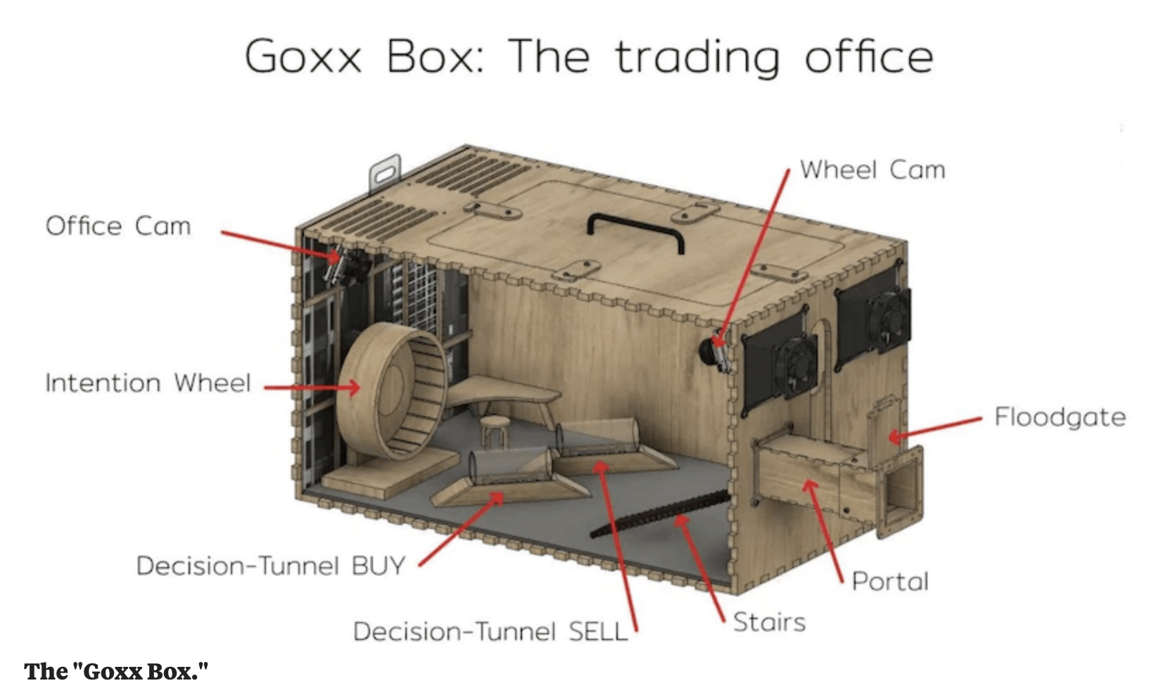 Goxx box trading office for a hamster.